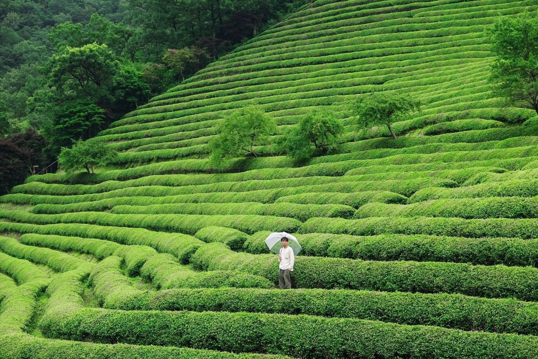 cắm trại ảnh 7 cam trai anh 7