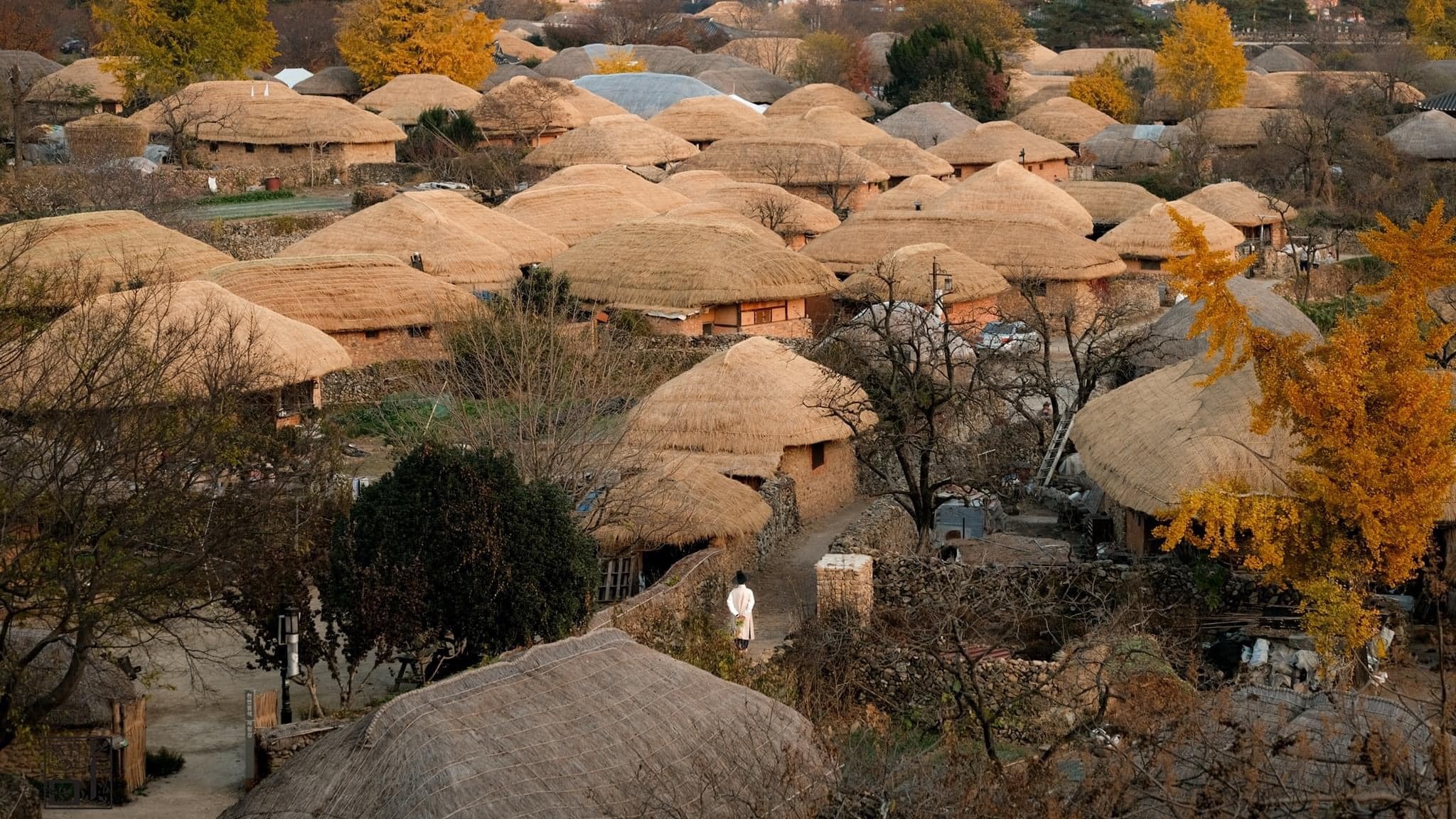 cắm trại ảnh 9 cam trai anh 9