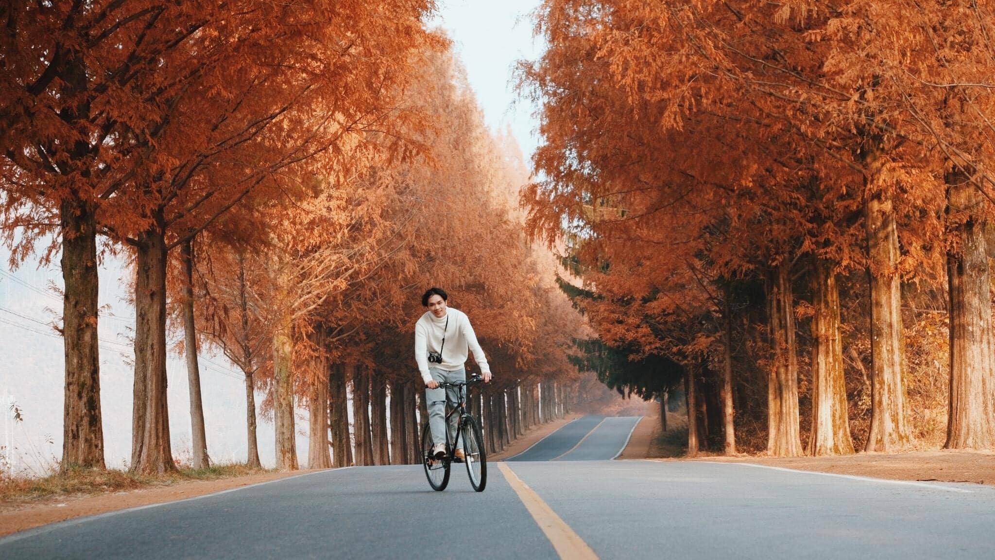 cắm trại ảnh 10 cam trai anh 10