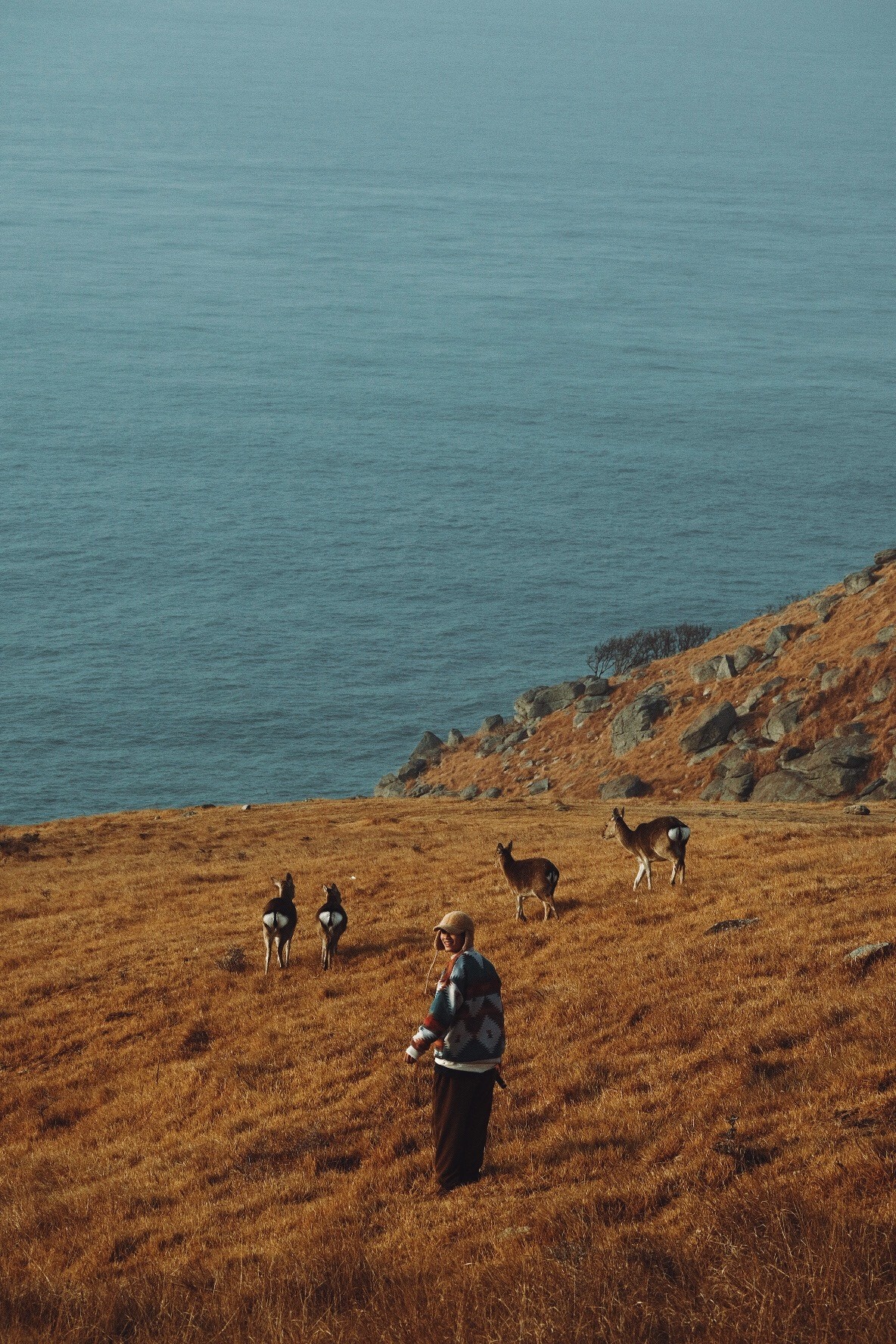 cắm trại ảnh 6 cam trai anh 6