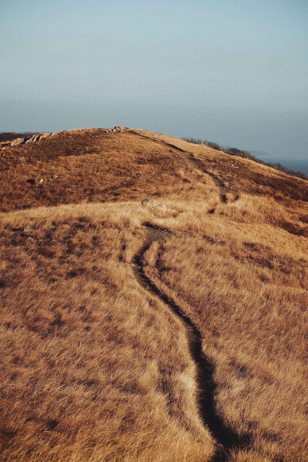 cắm trại ảnh 2 cam trai anh 2