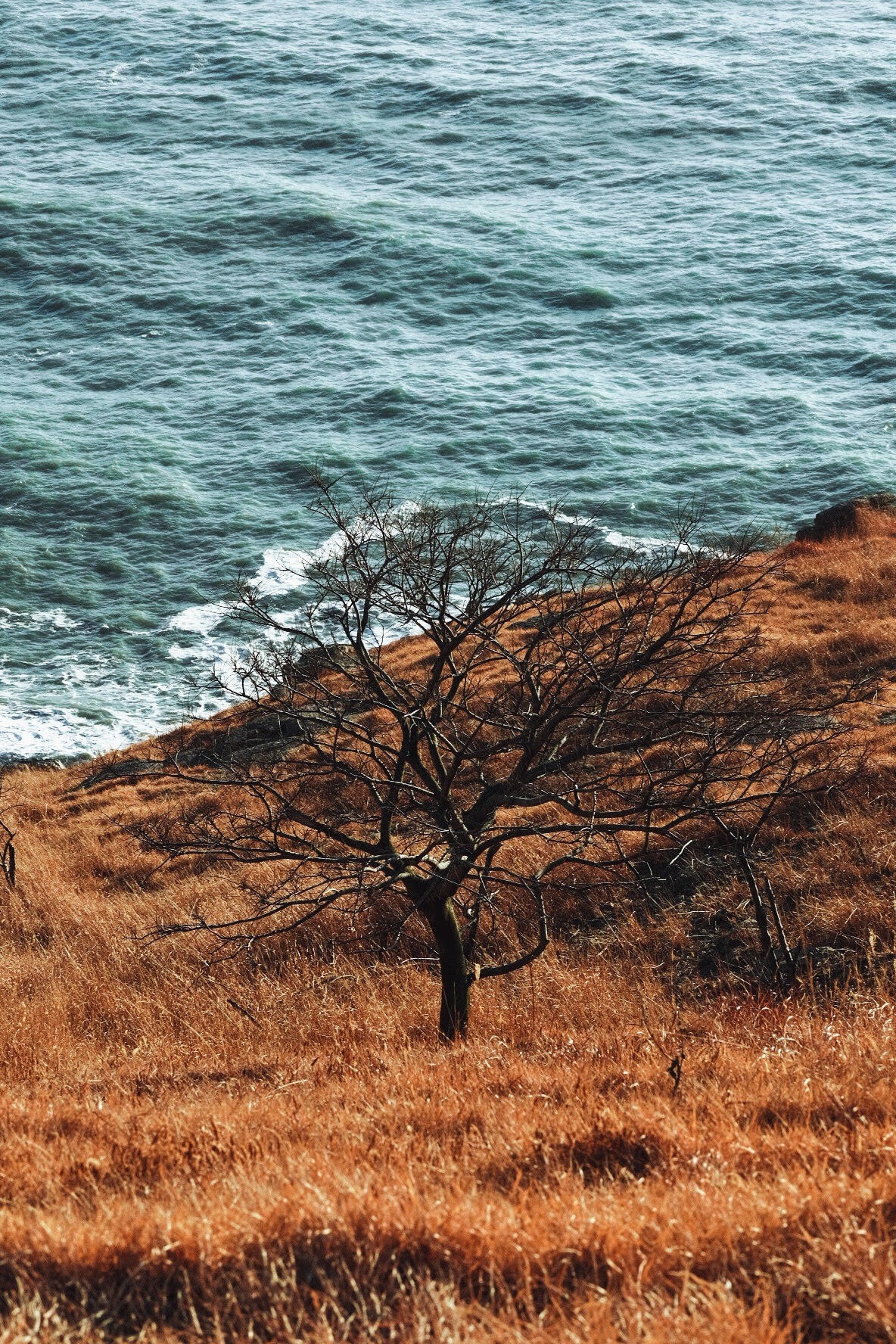 cắm trại ảnh 1 cam trai anh 1