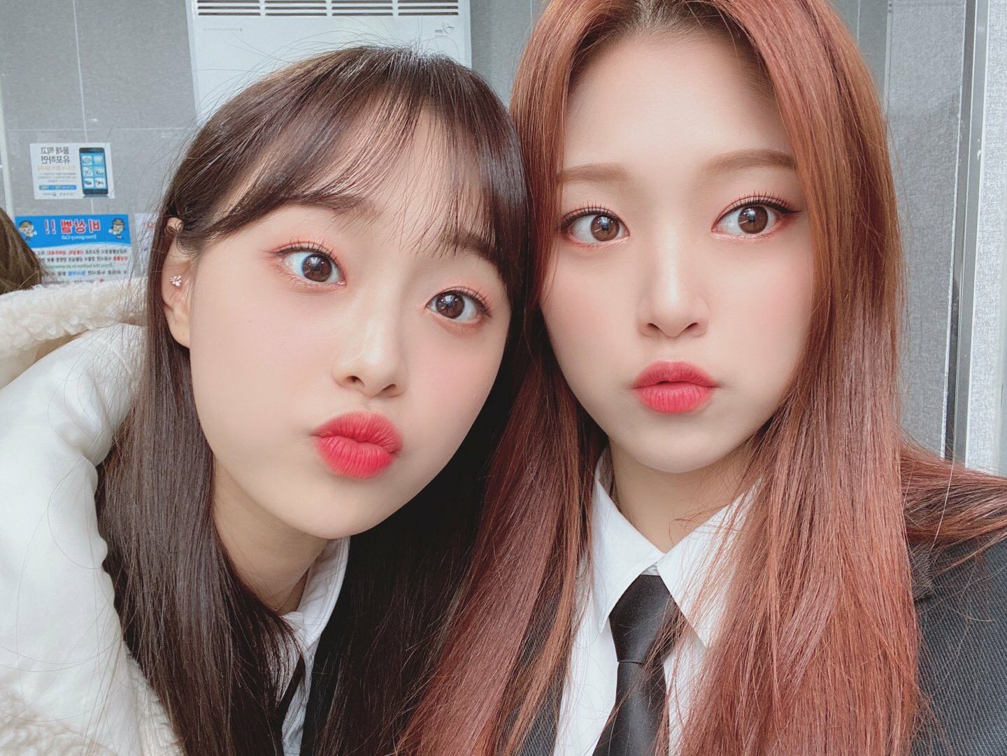 Chuu bị loại khỏi Loona ảnh 1 Chuu bi loai khoi Loona anh 1