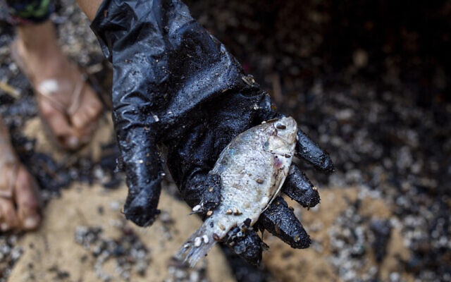 Su co tran dau tan pha phia dong Dia Trung Hai hinh anh