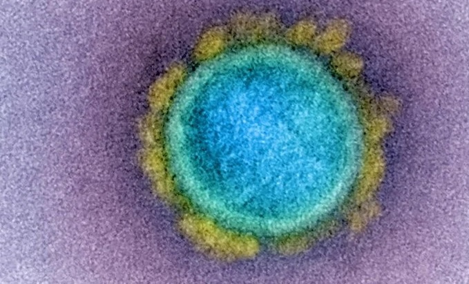 Phat hien bien the Covid-19 moi voi dot bien nguy hiem hinh anh