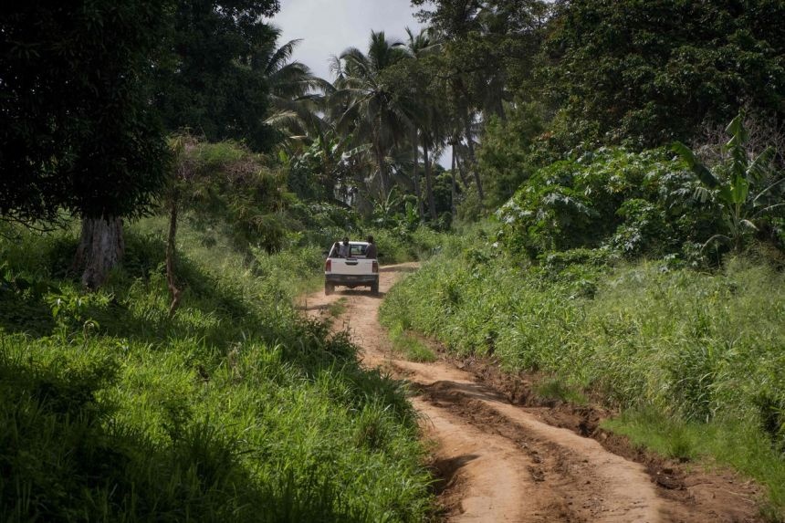 Vanuatu canh bao Covid-19 anh 1