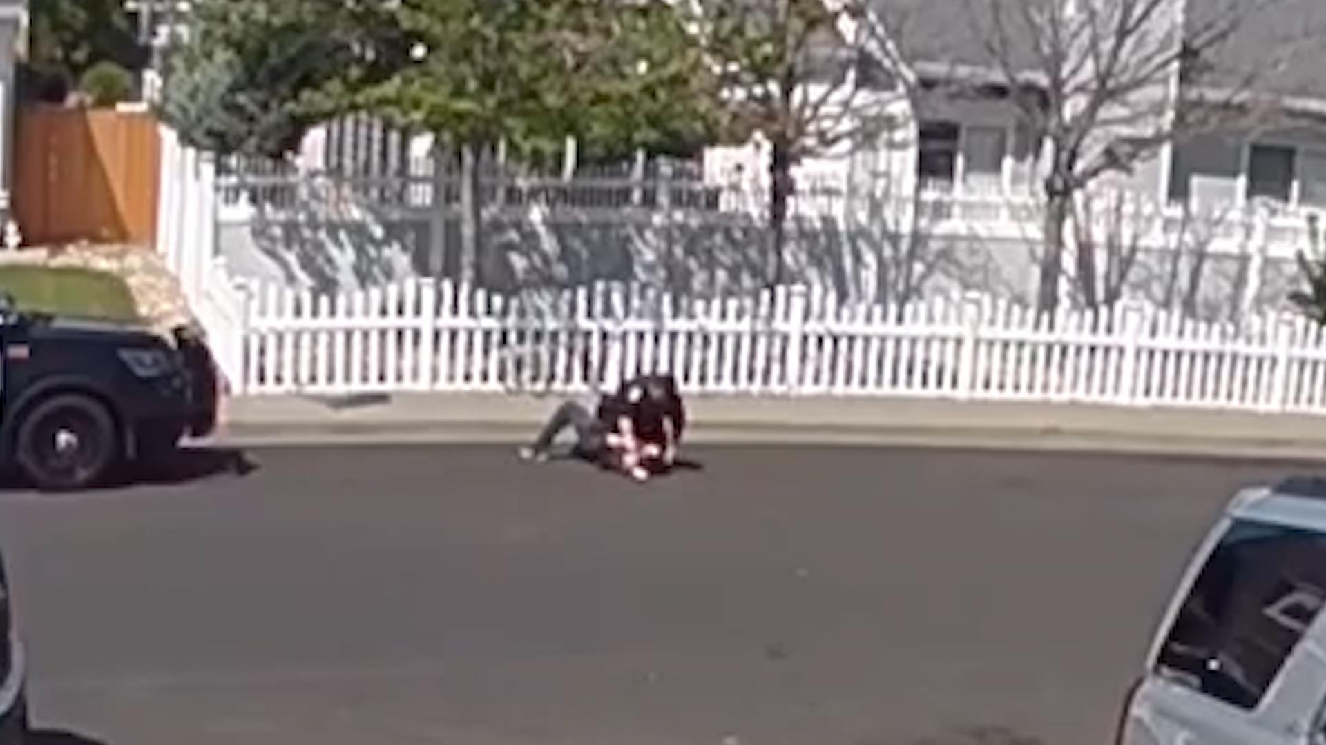 Canh sat California bi to dam vao mat cau be tu ky hinh anh