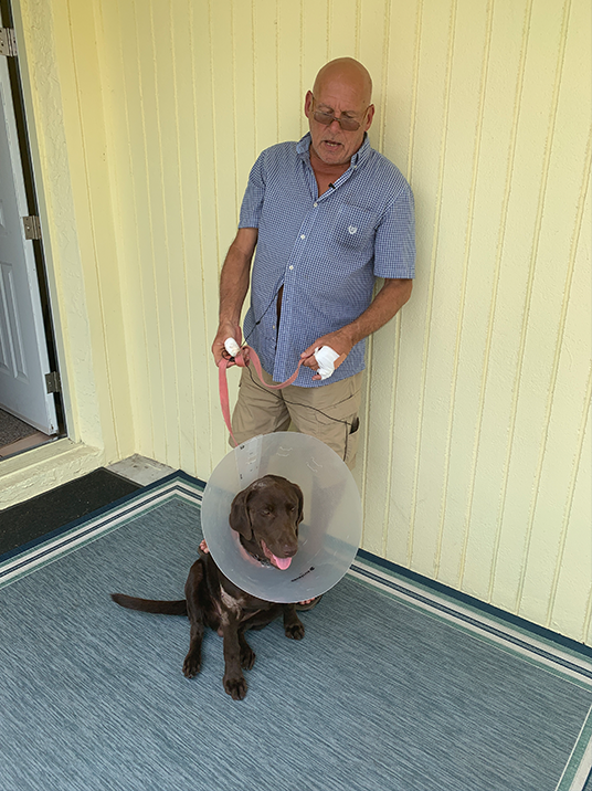 Nguoi dan ong chien dau voi ca sau anh 1