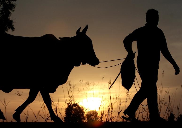 Thai Lan tang bo de tiem vaccine anh 1