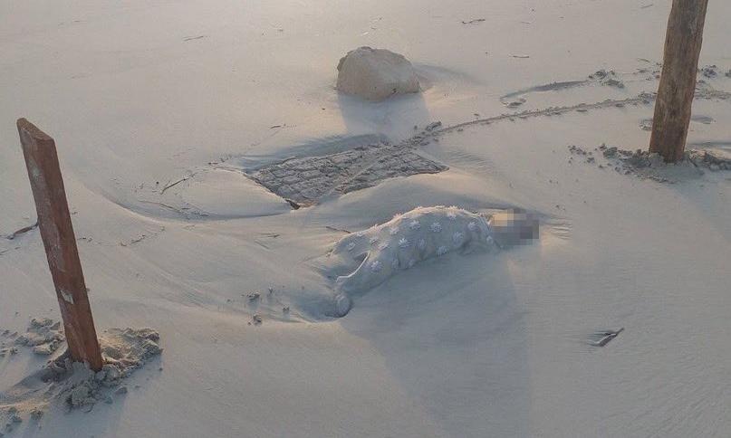 Thi the tre em tren bo bien Libya anh 1