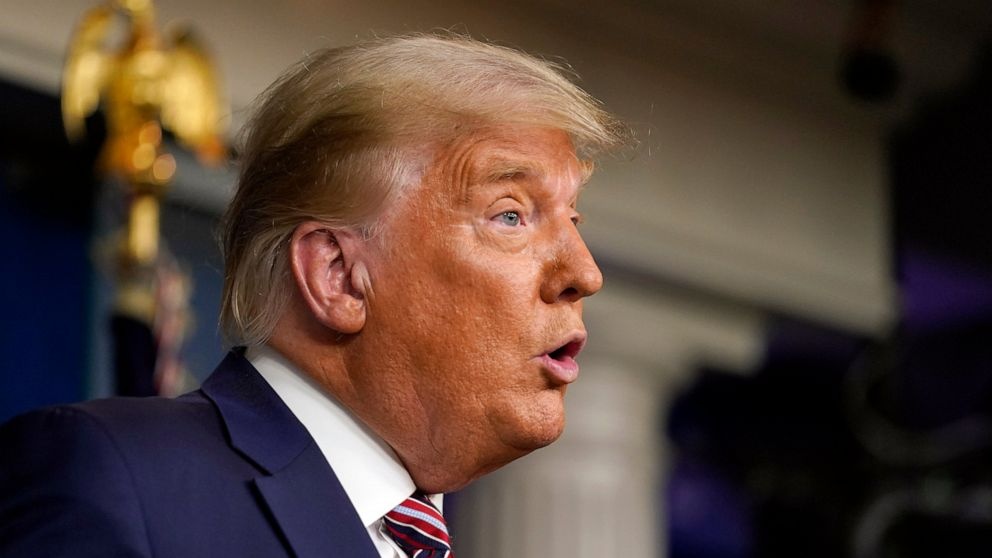 Mao danh ong Trump, lua hang tram nguoi quyen tien 'tai tranh cu' hinh anh