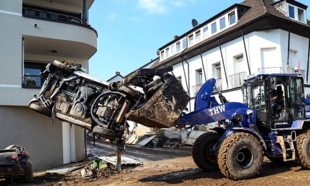 Nhom cuc huu o Duc anh 1