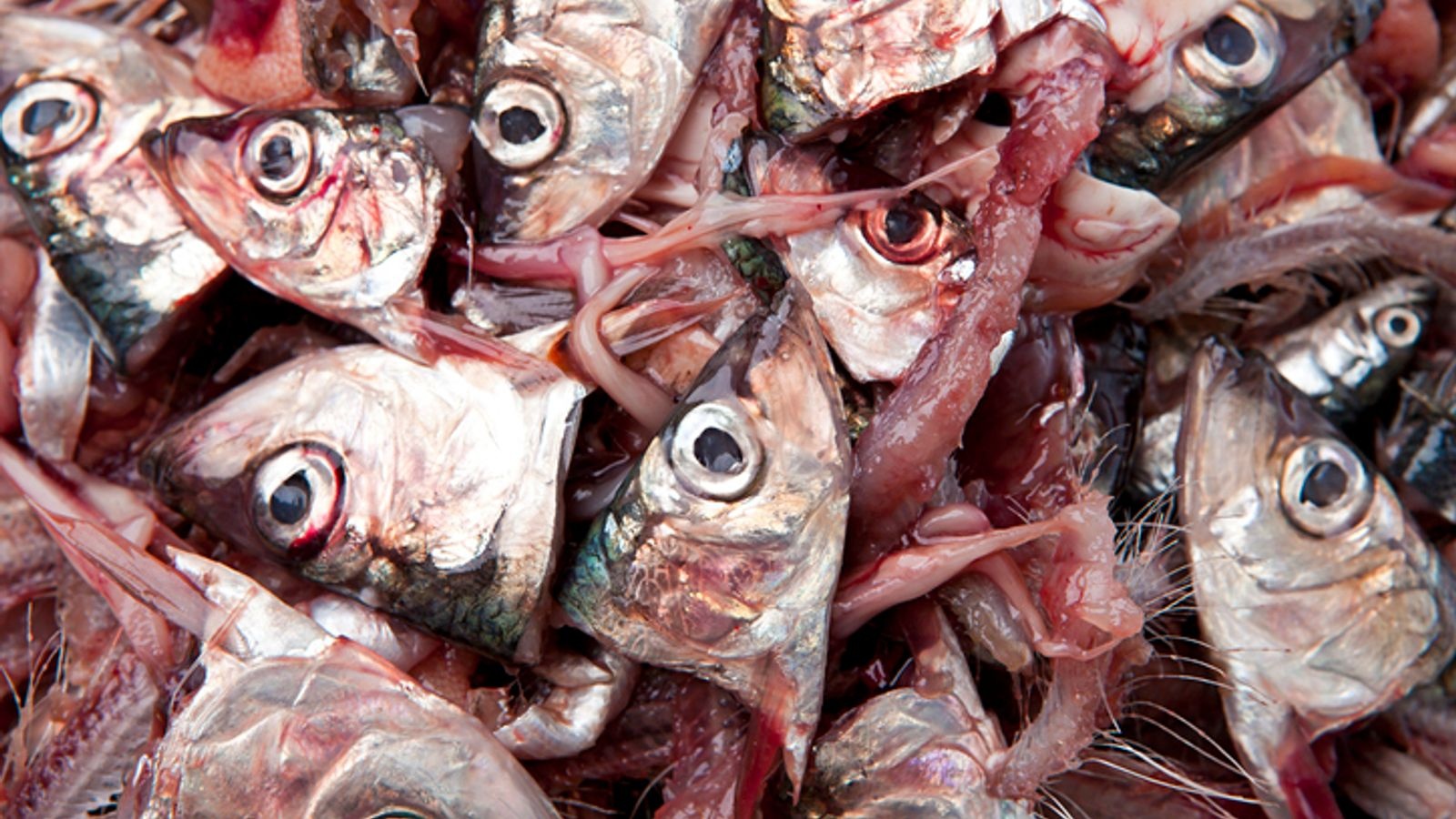 hoi chung sau Covid-19 anh 3