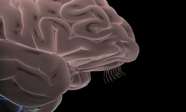 Phat hien moi ve tac dong cua Covid-19 toi nao nguoi hinh anh