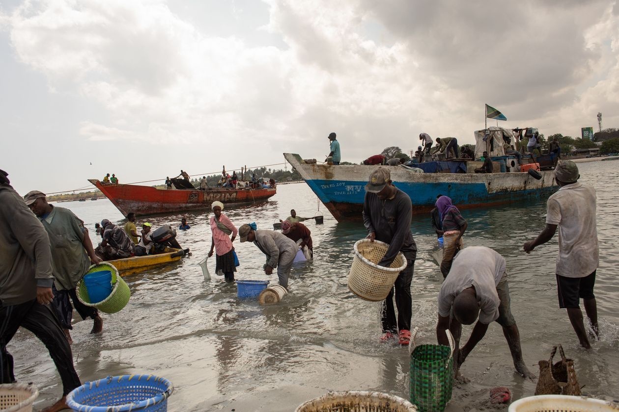Quoc gia phu nhan Covid-19 anh 2