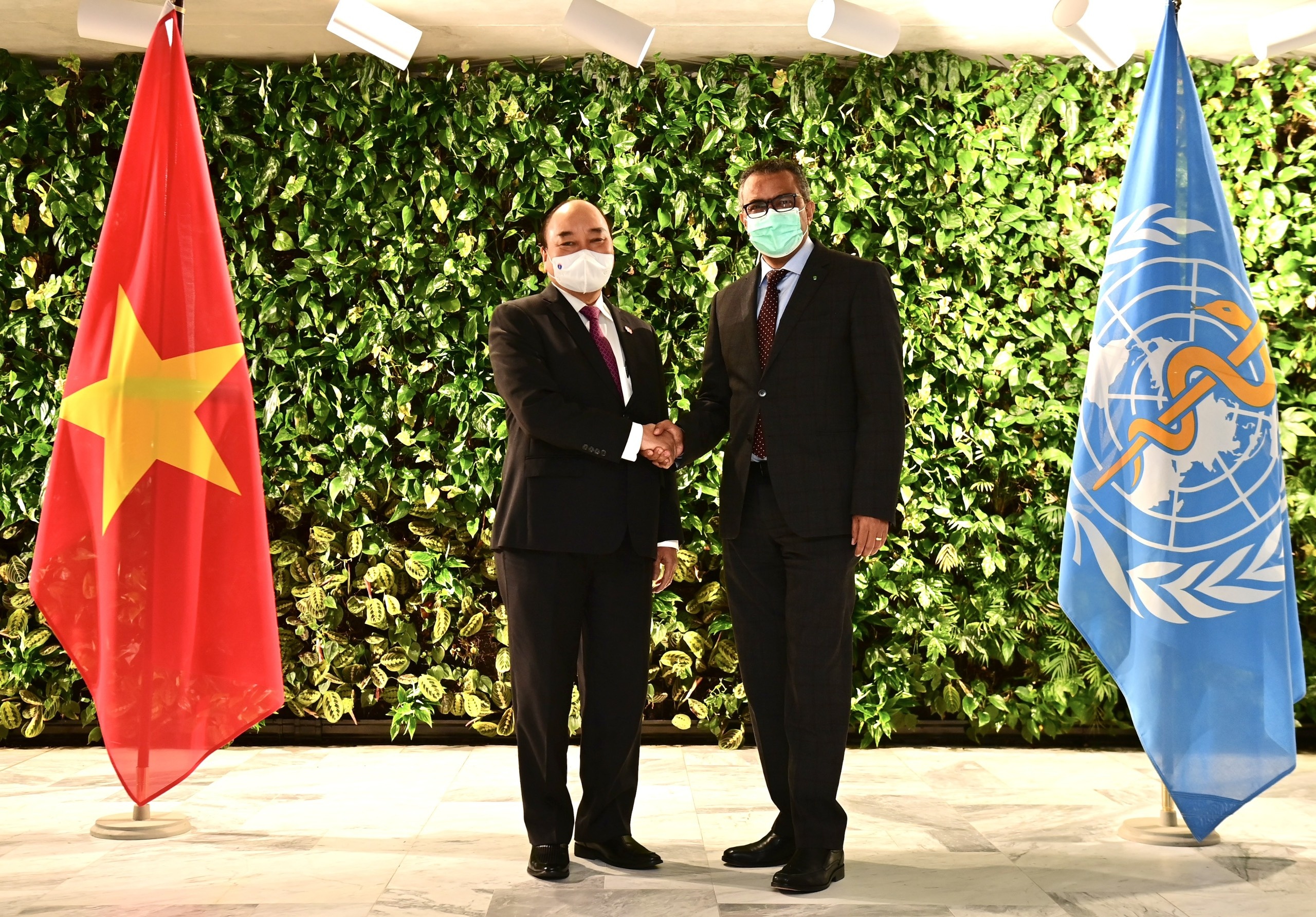 Chu tich nuoc gap tong giam doc WHO anh 1