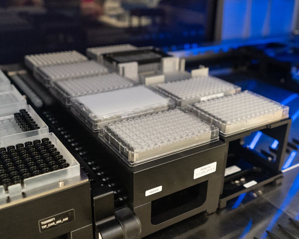 bien chung Omicron anh 3