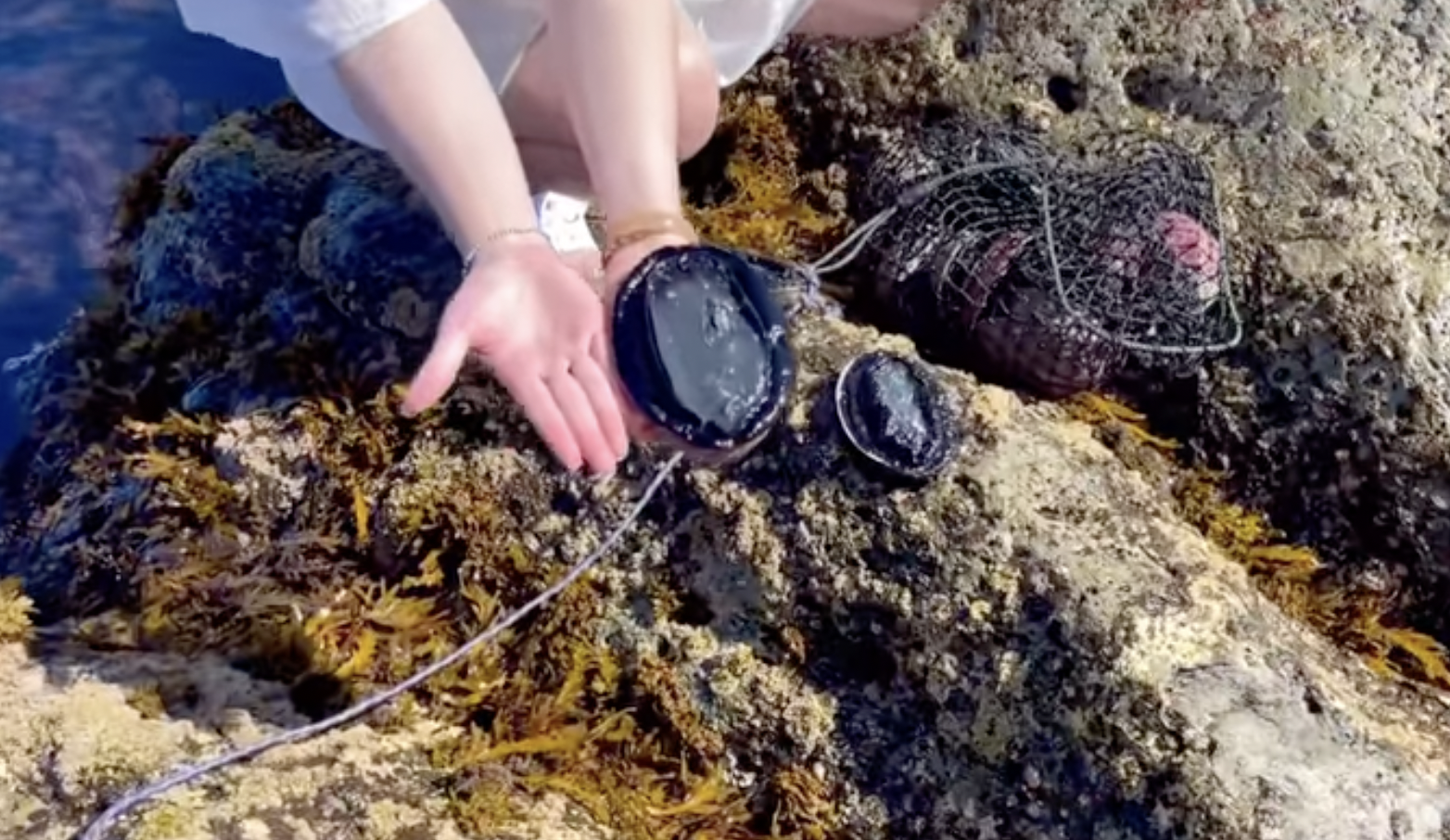 Nguoi viet hai ngoai anh 4