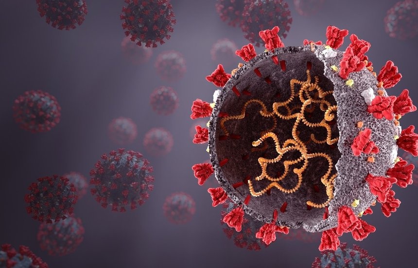 kha nang lay lan cua virus Covid-19 anh 1