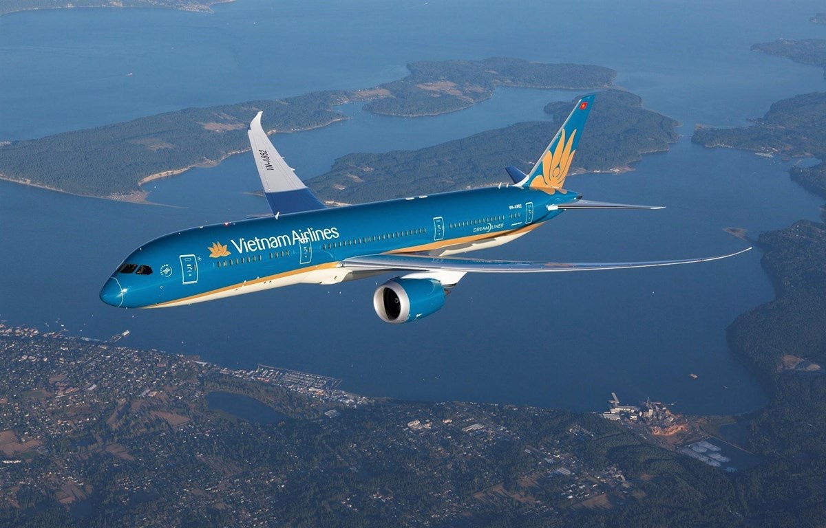 Vietnam Airlines lai xin hoan cong bo bao cao tai chinh hinh anh