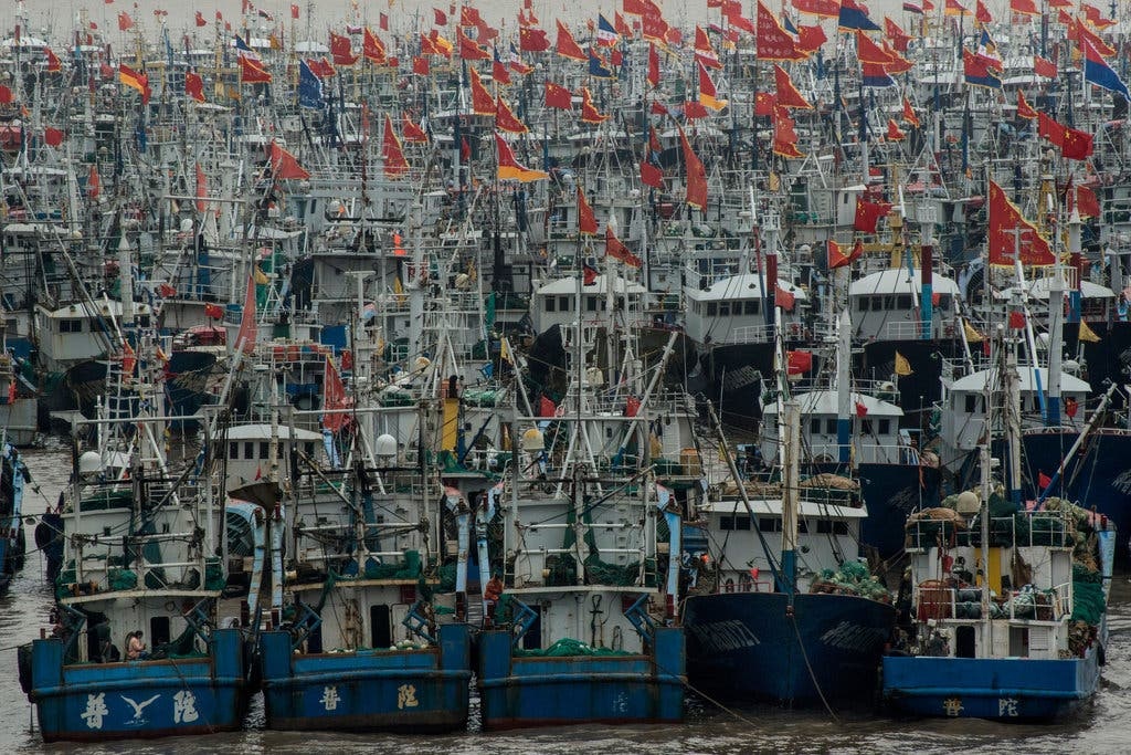 Doi tau Trung Quoc khai thac qua muc o Bien Dong hinh anh