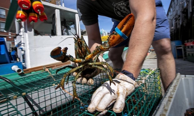 Trung Quoc that hua ve tom hum Maine anh 1