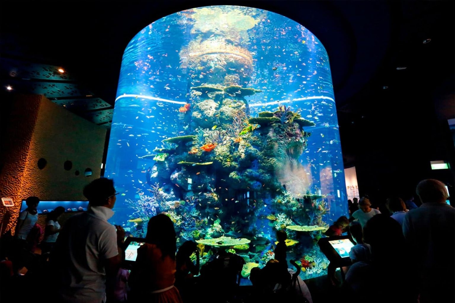 Du lich Dong Nam A thay doi the nao thoi hau dai dich? hinh anh