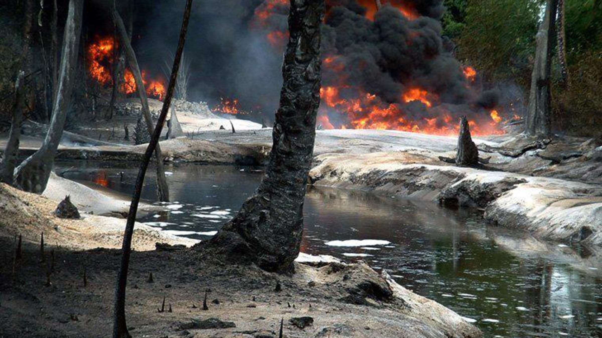 No co so loc dau trai phep o Nigeria anh 1