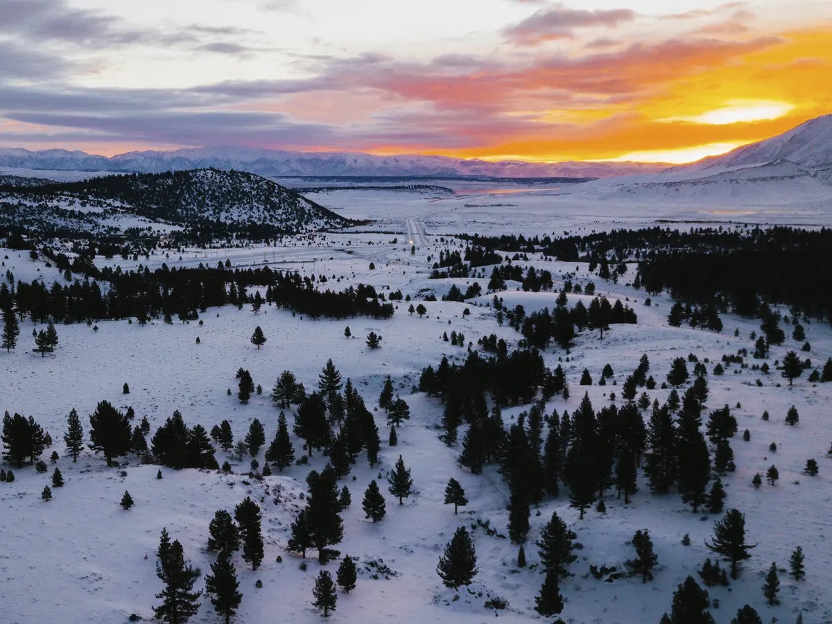 nguoi phu nu mac ket trong rung anh 1