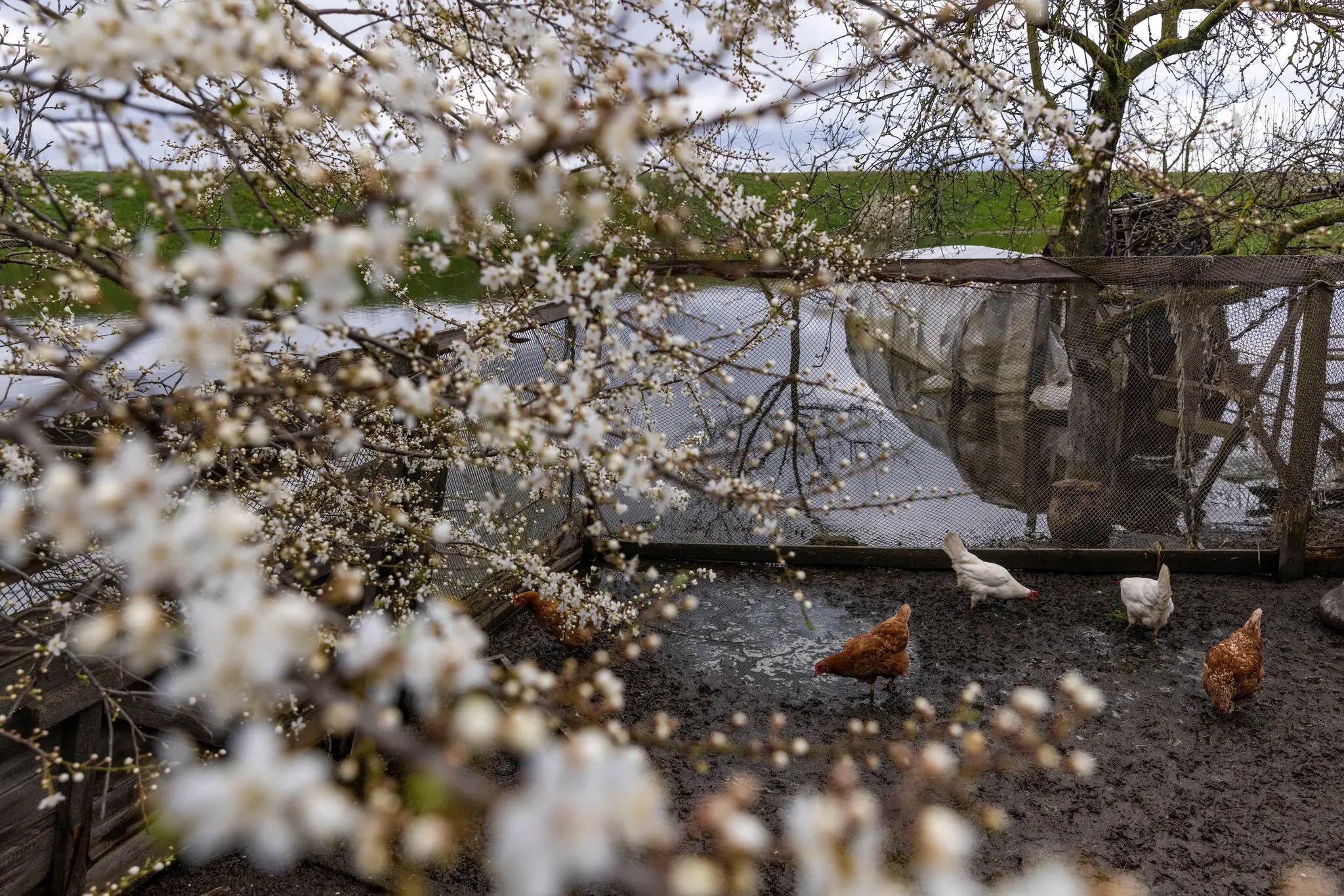 Ukraine ngan buoc tien Nga vao Kyiv anh 5