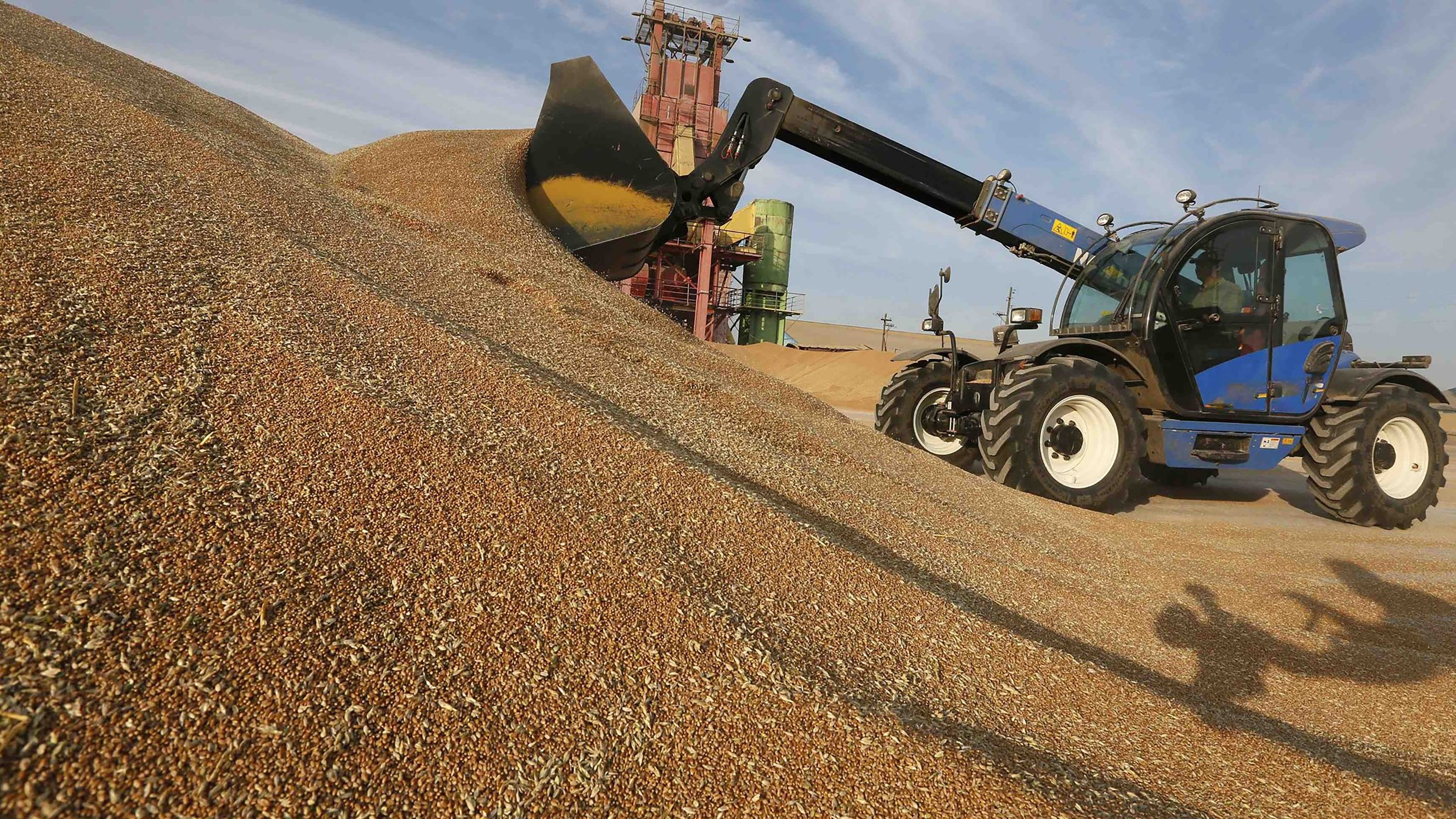 Nga du tru ngu coc giua lenh trung phat anh 1