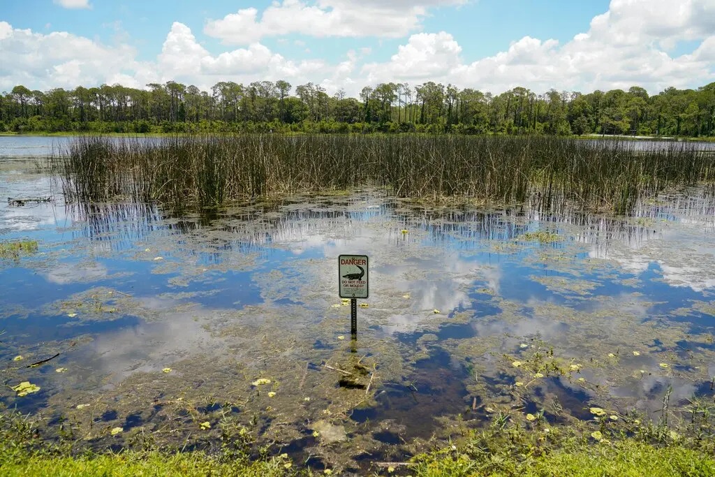 ca sau tan cong anh 1