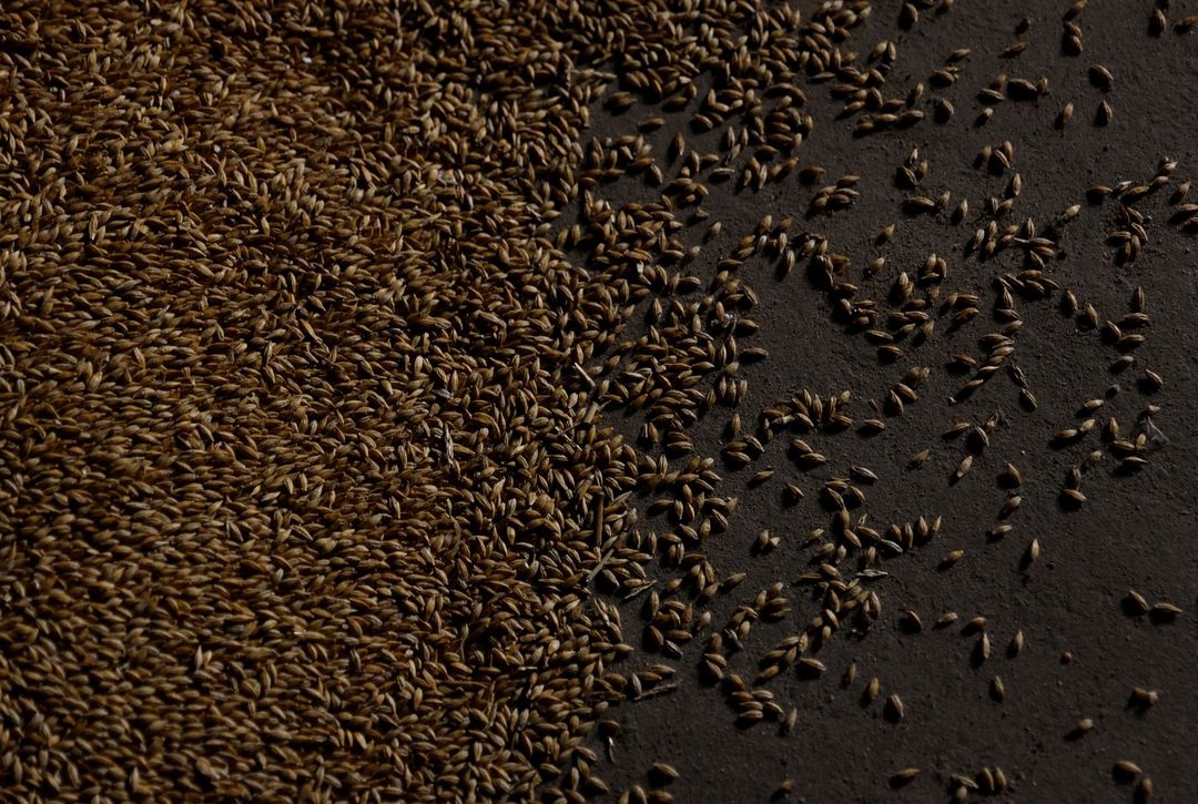 Khu vuc Ukraine do Nga kiem soat tim cach ban ngu coc cho Bac My hinh anh