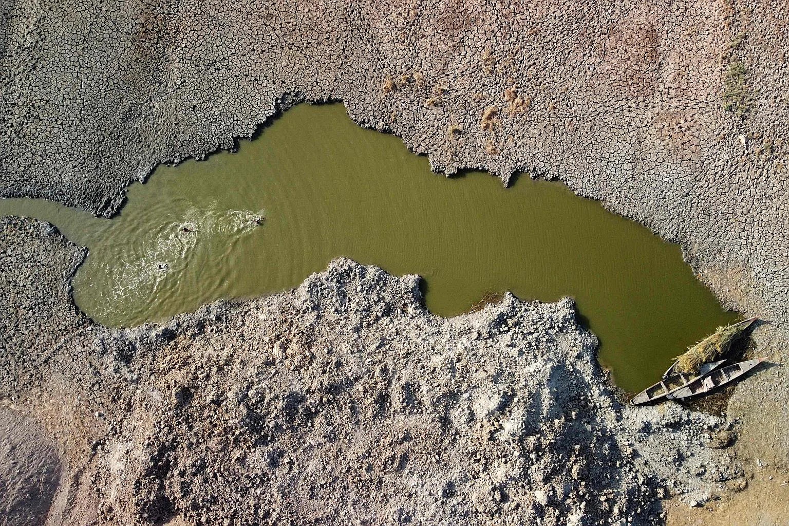 vuon dia dang o Iraq anh 2