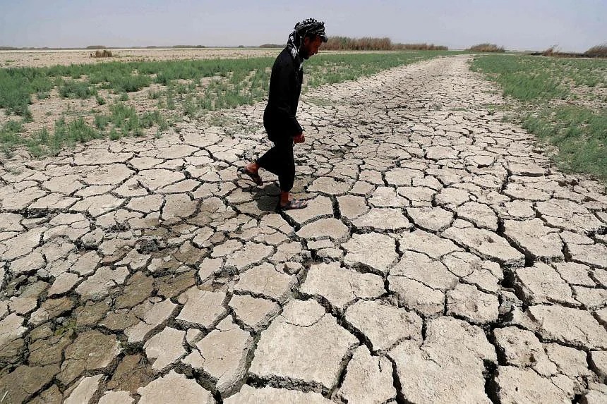 Cu dan vuon dia dang o Iraq: 'Cuoc song cua chung toi the la het' hinh anh