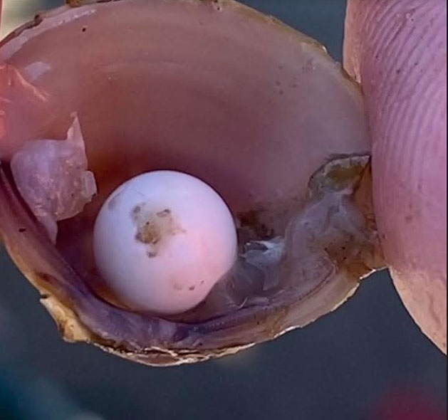 ngoc trai hiem anh 1