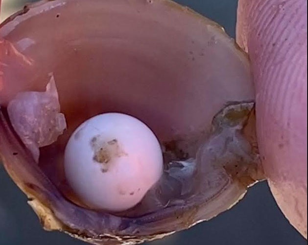 Nhom hoc sinh vo tinh phat hien ngoc sieu hiem ben trong con hen hinh anh