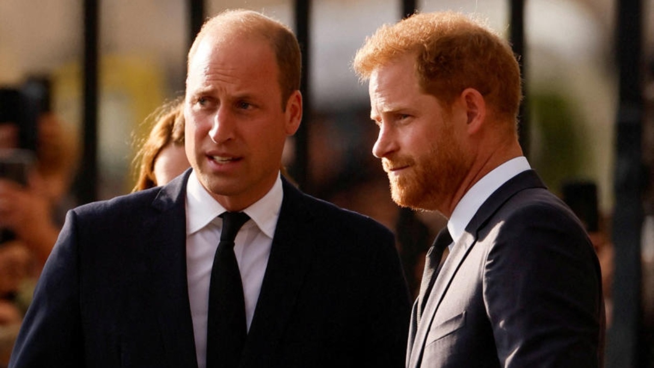 Hoang tu William va Harry se cung di sau linh cuu nu hoang hinh anh