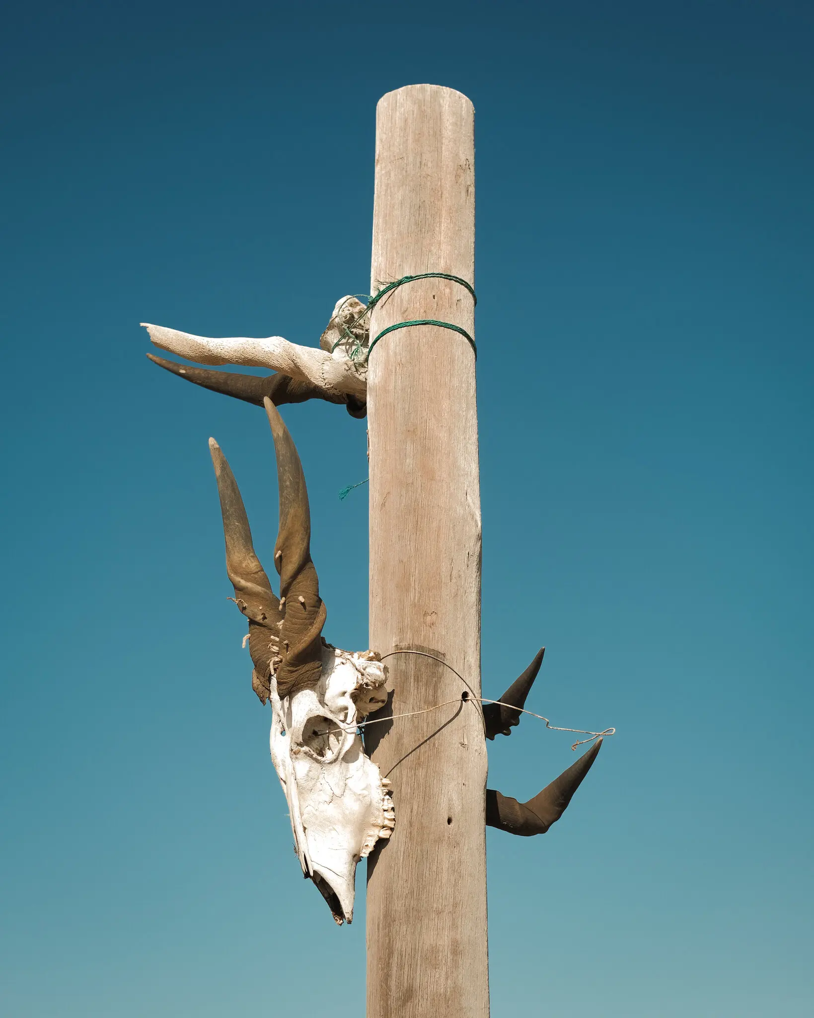 nơi tận cùng Trái Đất ảnh 10 noi tan cung Trai Dat anh 10