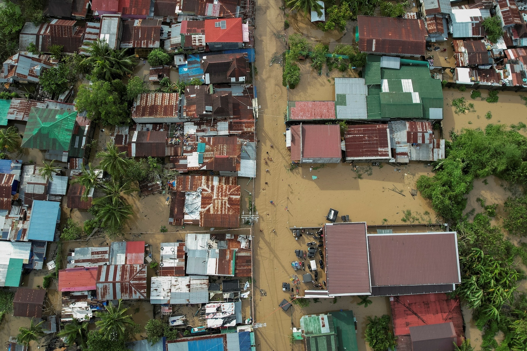 sieu bao noru anh 12