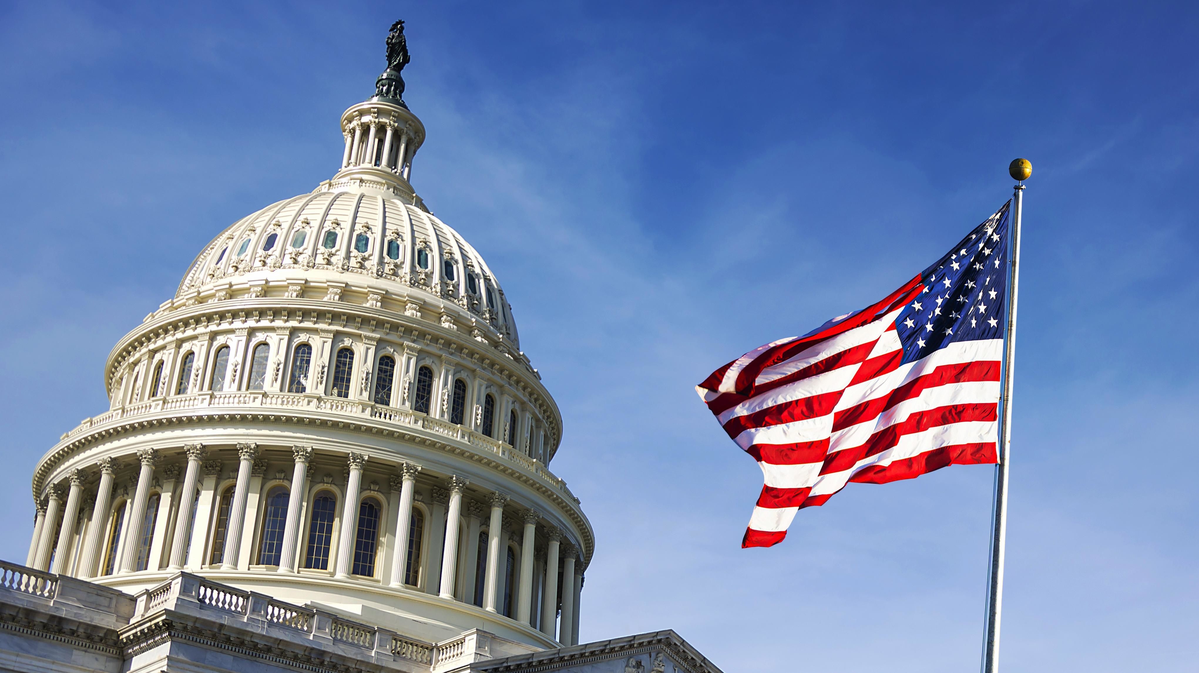 bau cu giua nhiem ky anh 1