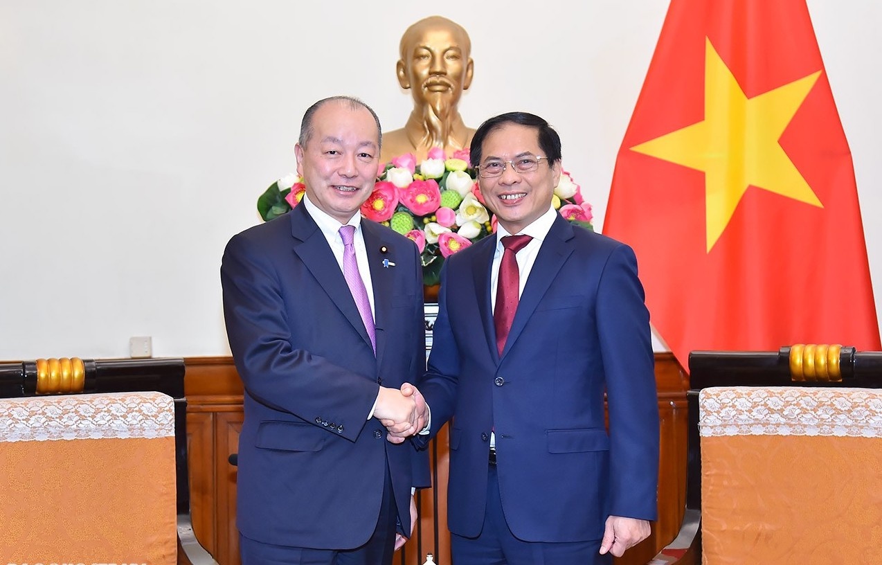 Bo truong Ngoai giao Bui Thanh Son tiep thu truong Nhat Ban hinh anh