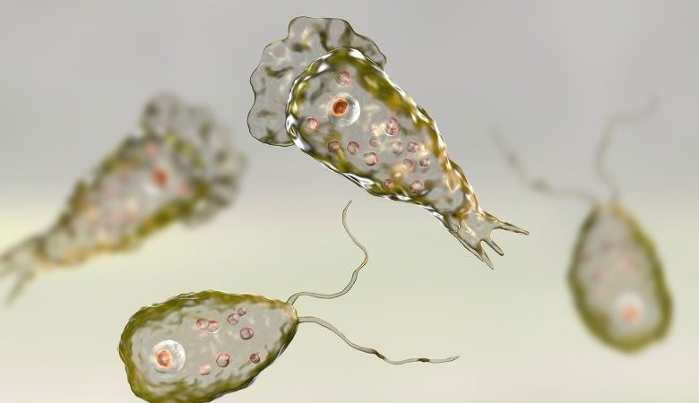 Thieu nien My chet do nhiem amip an nao hinh anh