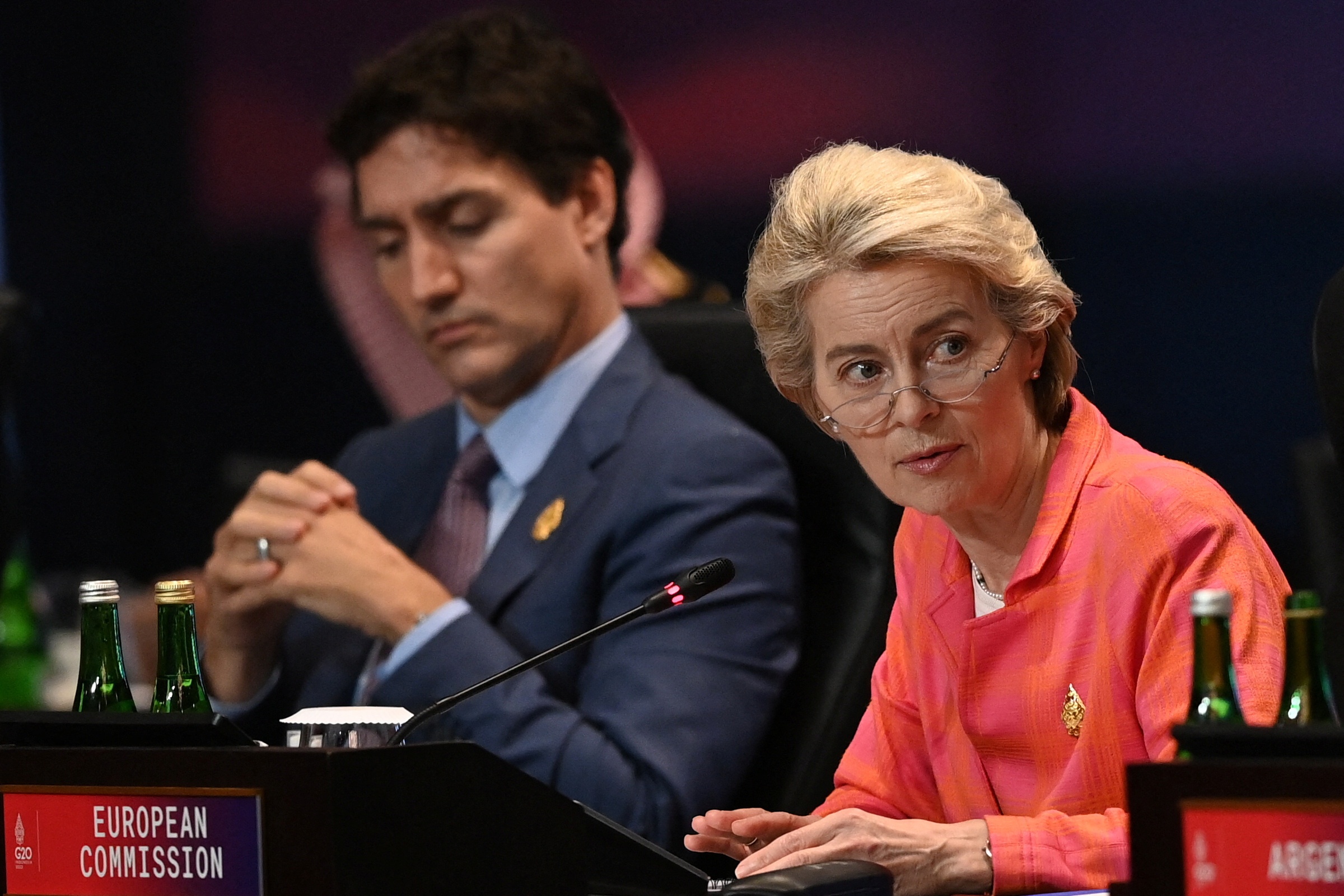 hoi nghi thuong dinh G20 anh 9