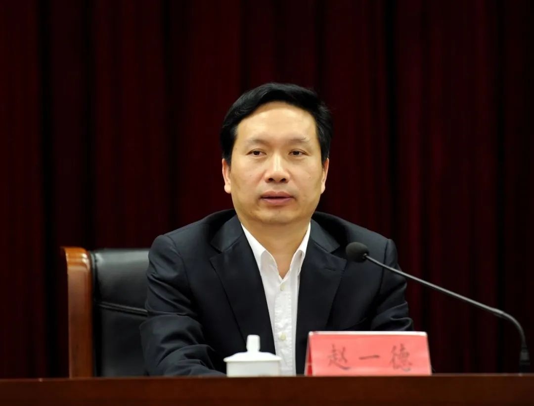 Trung Quoc bo nhiem tan bi thu Tinh uy Thiem Tay hinh anh