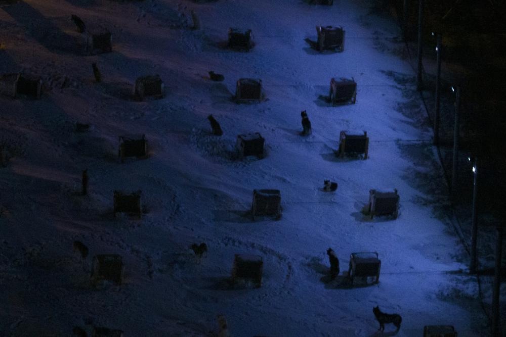 cho keo xe bac cuc anh 6