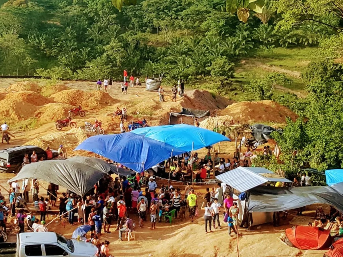 Hai nha bao ve moi truong Honduras bi ban chet giua ban ngay hinh anh