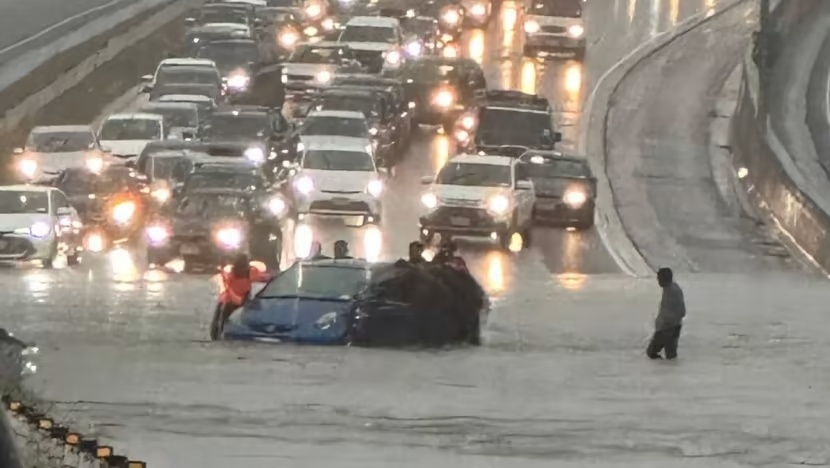 Mua lon gay ngap nang tai thanh pho lon nhat New Zealand hinh anh