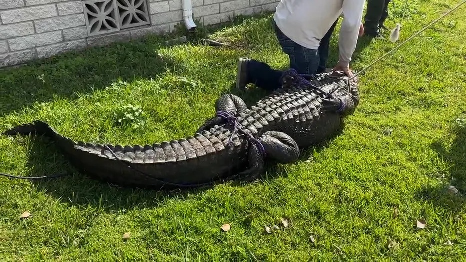 Cu ba thiet mang khi cuu cho cung khoi mieng ca sau hinh anh