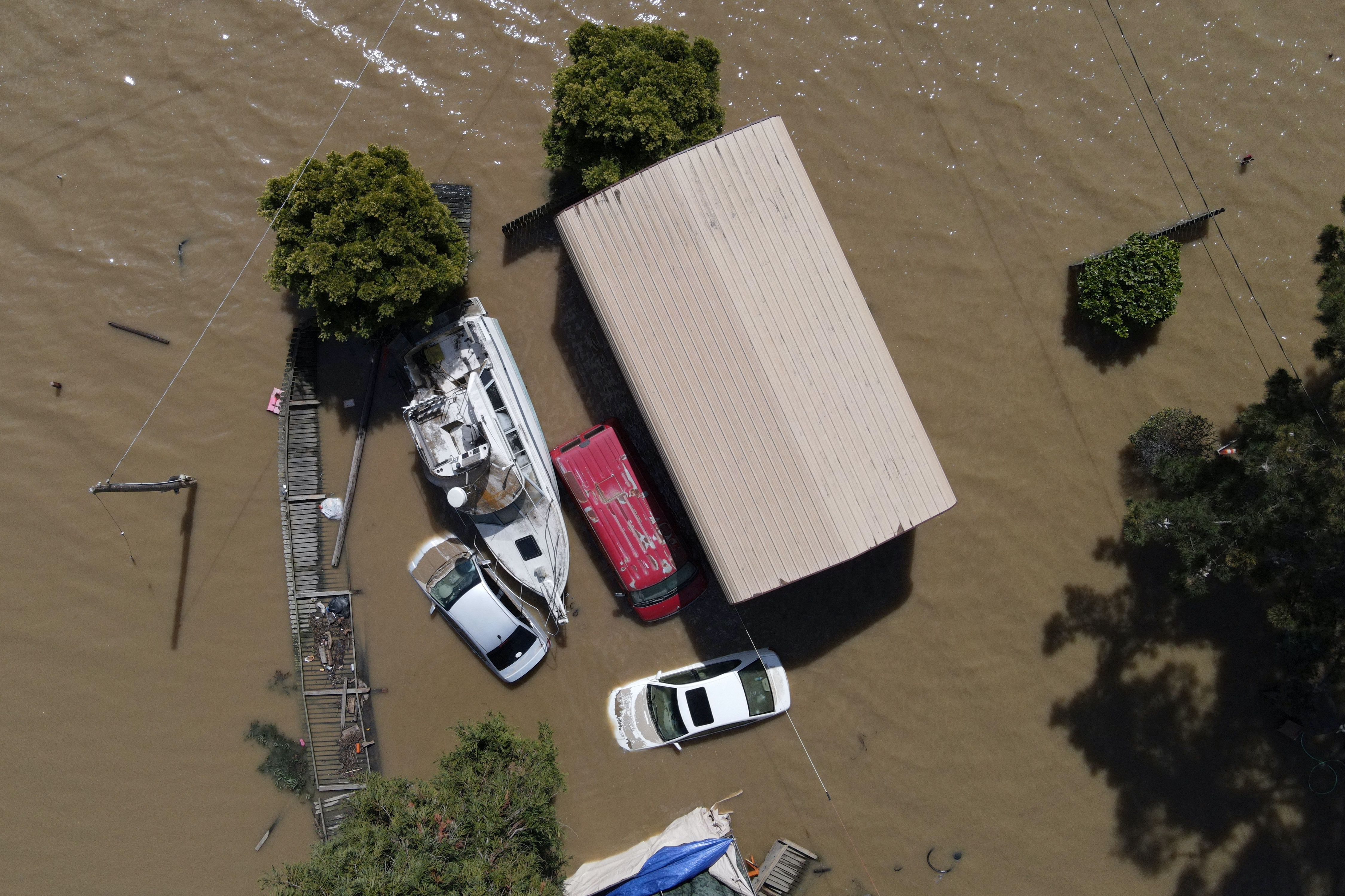 california vo de anh 2